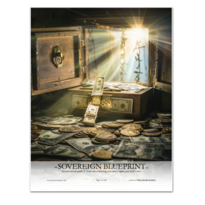 ™SOVEREIGN BLUEPRINT© An educational guide of Truth for reclaiming your assets, rights, and birth estate 111